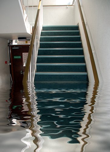 BondedH2O's tweet photo. Is the Fall a Good Time to Get Basement Waterproofing? https://t.co/q0hnYlDDRn https://t.co/P3GXG9Qtu7