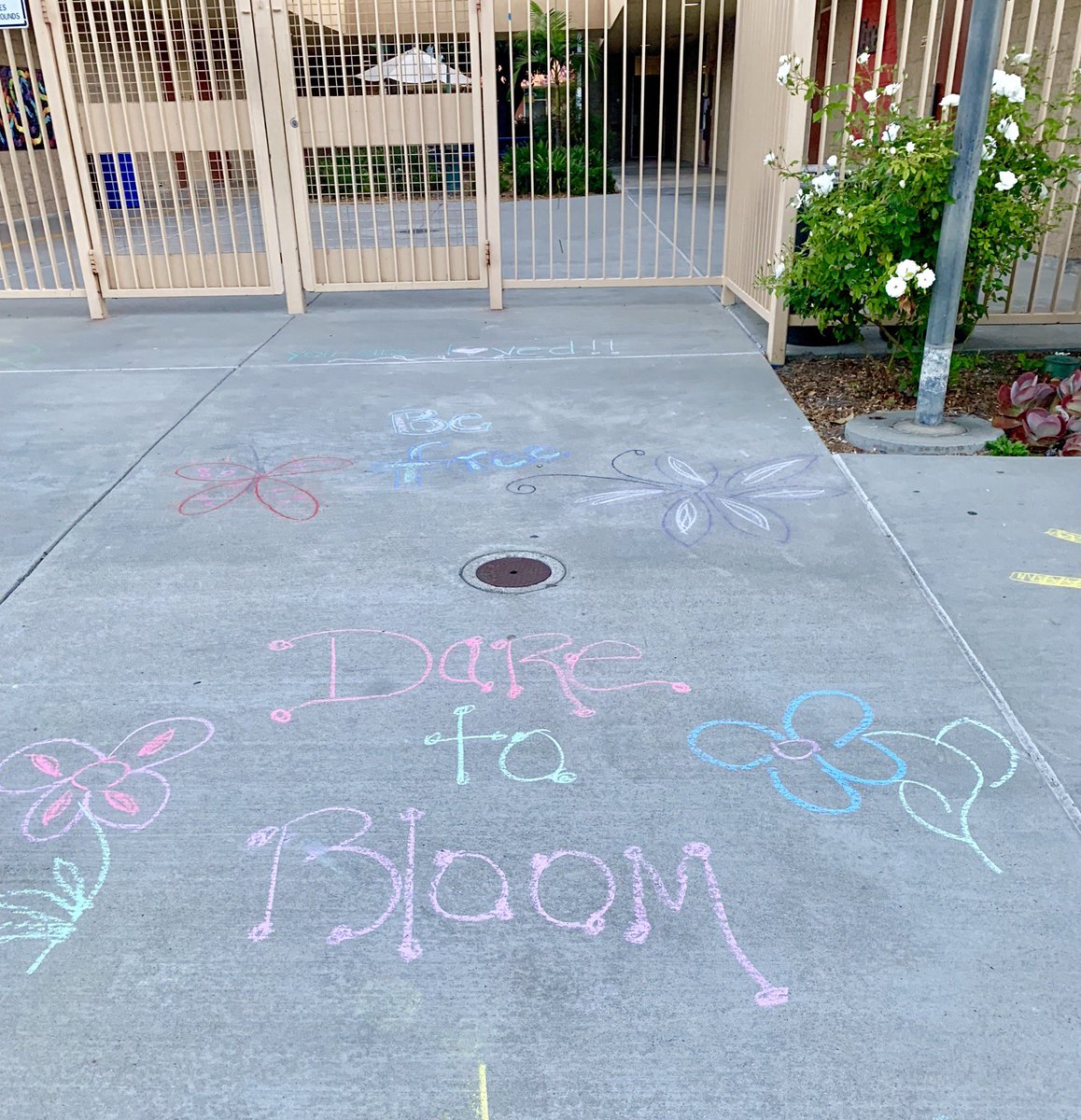 erinterryeusd's tweet photo. Thank you to PDL community members who left these messages for staff, students and families to find this morning. Inspirational! #Ittakesavillage #eusdtweets #Inspiresocal https://t.co/BOFZqIcQTg