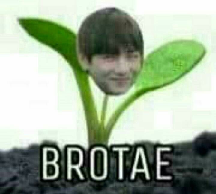kimbeartae's tweet photo. meu utt vulgo kim taehyung é um meme ambulante, então decidi ser também 

Kkkhelpkkkkkk

#ARMYSelcaDay @BTS_twt https://t.co/mUeDHL2Cns