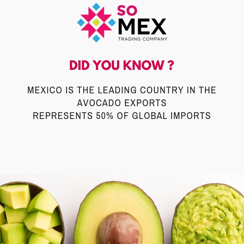 TradeSomex's tweet photo. In Mexico about 1.58 million tons of avocado are produced annually
#DidYouKnow #AvocadoFacts #Avocado 
#GoodMorning #HappyMonday #Health #HealthyLife 
#SoFresh #SoAvocado #SoMEX https://t.co/PSafWxmBLO