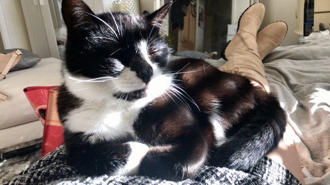 Watch 𝐊𝐞𝐥𝐥𝐲𝐛𝐬𝐰𝐨𝐫𝐥𝐝😻's leaked NSFW photo on TwXstars