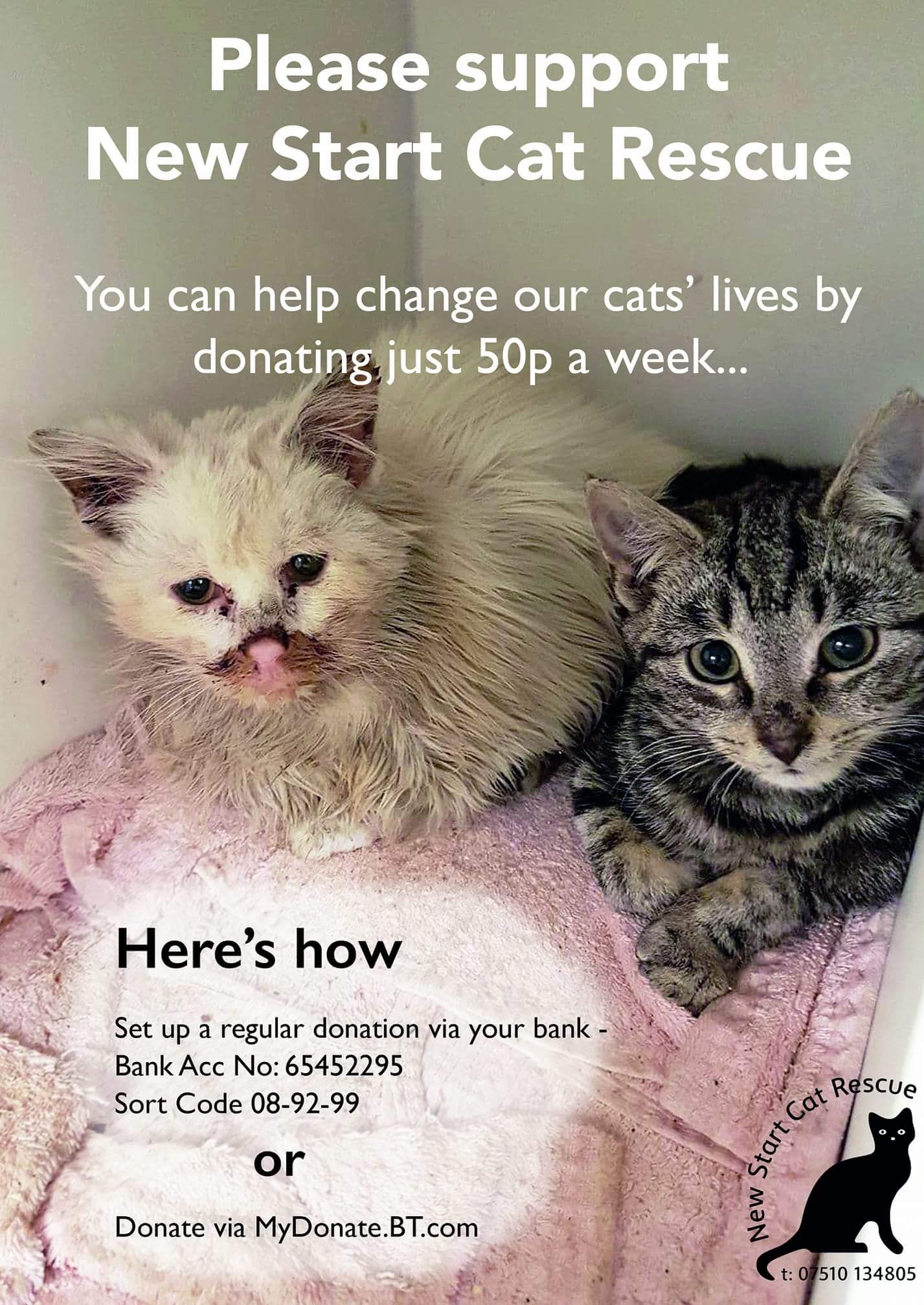 New Start Cat Rescue On Twitter Please Consider Setting Up A
