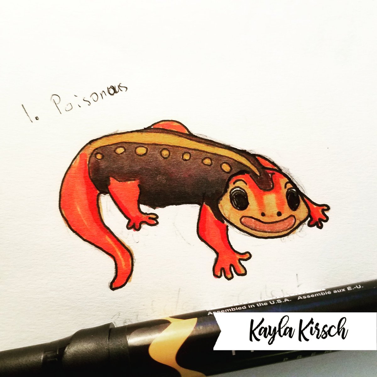 KaylaK_Design's tweet photo. Inktober has started! Today's prompt was #poisonous!
#Inktober2018 #inktober #kaylaK_design #prismacolor #emperornewt #illustration #illustrationartist https://t.co/1oQ3ZoEQw6
