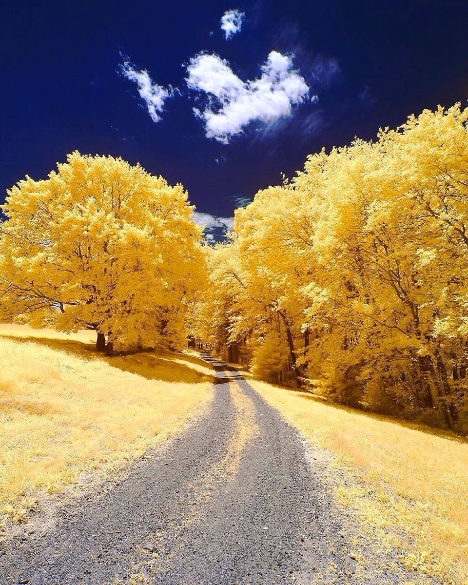 komashasha's tweet photo. The reason I love nature......... https://t.co/9efei9SkFT