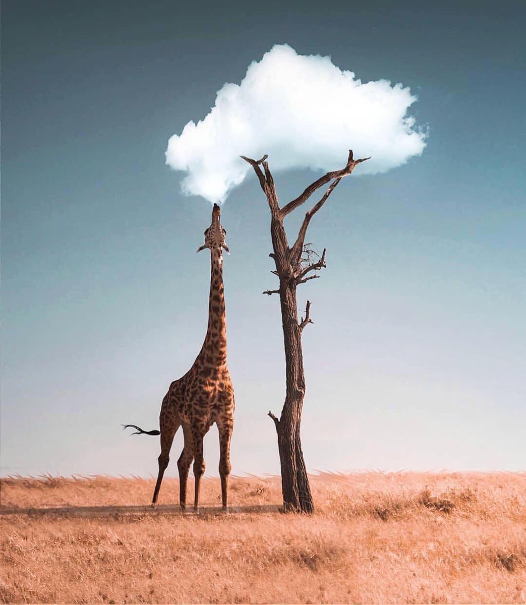 komashasha's tweet photo. The reason I love nature......... https://t.co/9efei9SkFT
