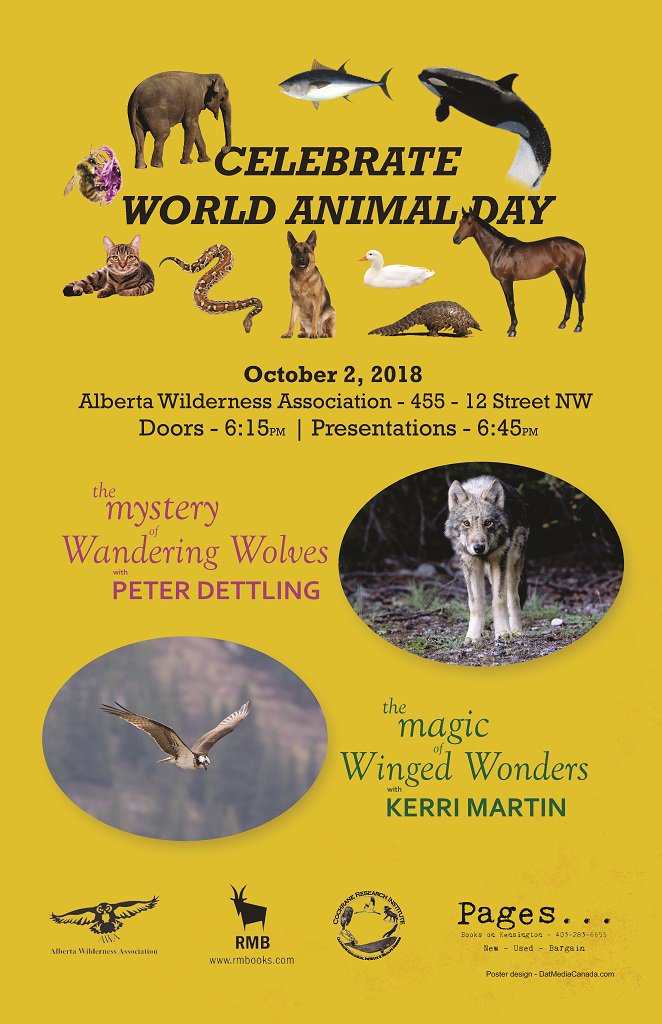 Tomorrow, join us down the street at the AWA for a World Animal Day event, 6:15-9PM. #yyc #yycevents #kensingtonyyc #books
