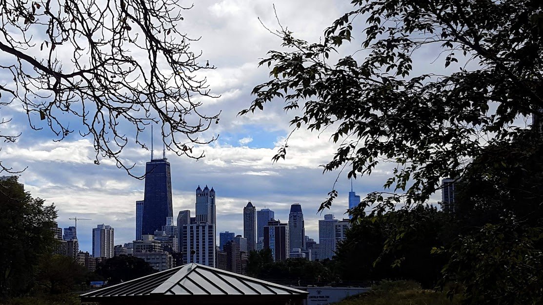 LinderlooWho's tweet photo. #JohnHancockBuilding #WillisTower #SearsTower from #LincolnParkZoo #Chicago #DowntownChicago https://t.co/DLbeTReS28