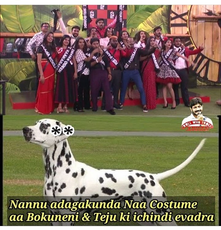 Doc0cmuV4AIPwSU?format=jpg