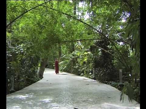 TravelingApps01's tweet photo. New post (OSHO: The Silent Explosion - a visit to the Osho International Meditation Resort) has been published on Traveling Apps - https://t.co/bgHYeIVVy7 https://t.co/74RdAtKFby
