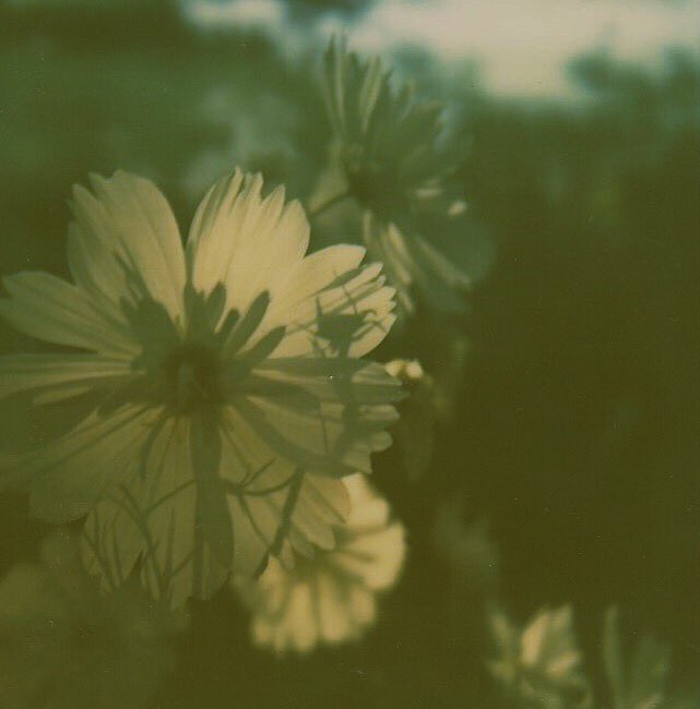 btsets's tweet photo. — fuck, i got lost in your eyes again. https://t.co/yLmFOzKk5o