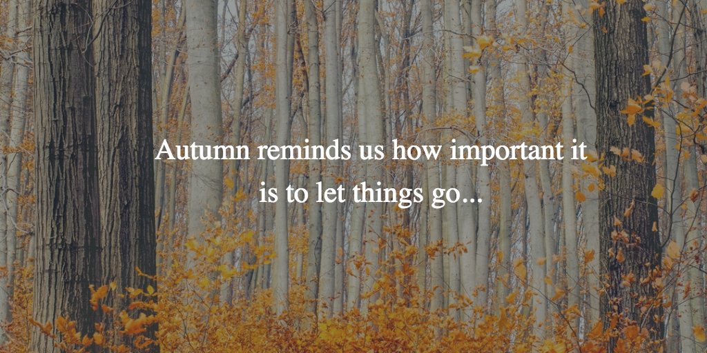 Mindful2Be's tweet photo. Autumn reminds us how important it is to let things go...
#Mindfulness #acceptance https://t.co/kx6fsrRbls