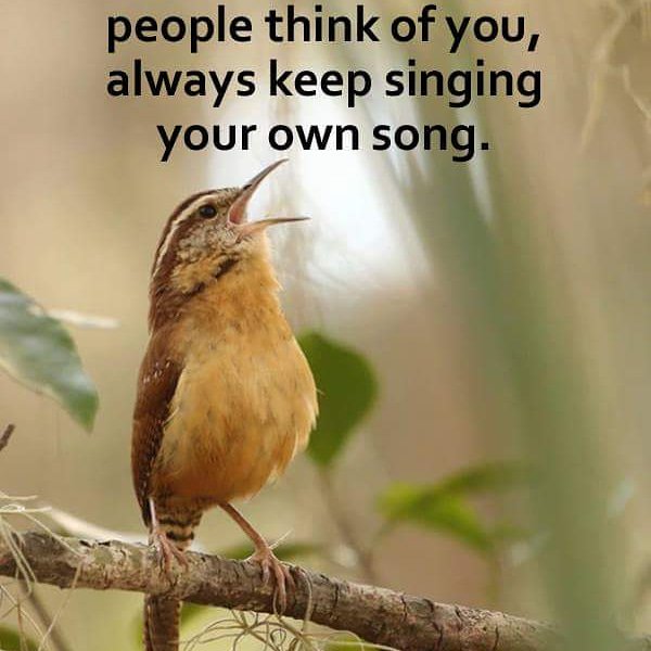 The Oak Café & Bar (@theoakcafbar1) on Twitter photo 