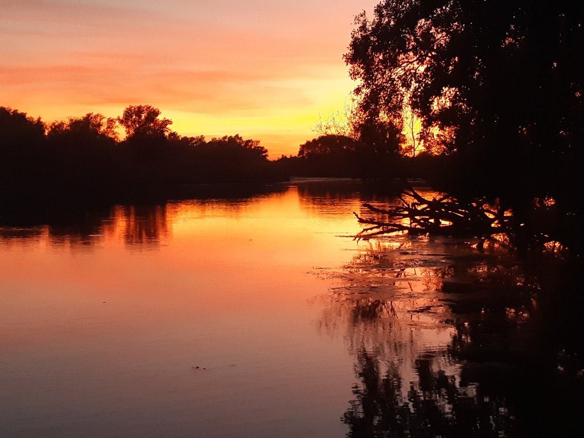 CarpAndFun's tweet photo. Beautiful evening in national park de biesbosch, North Brabant Netherlands.
#carpfishing #ciprobaits #havefun https://t.co/LLCfvdy9Y8