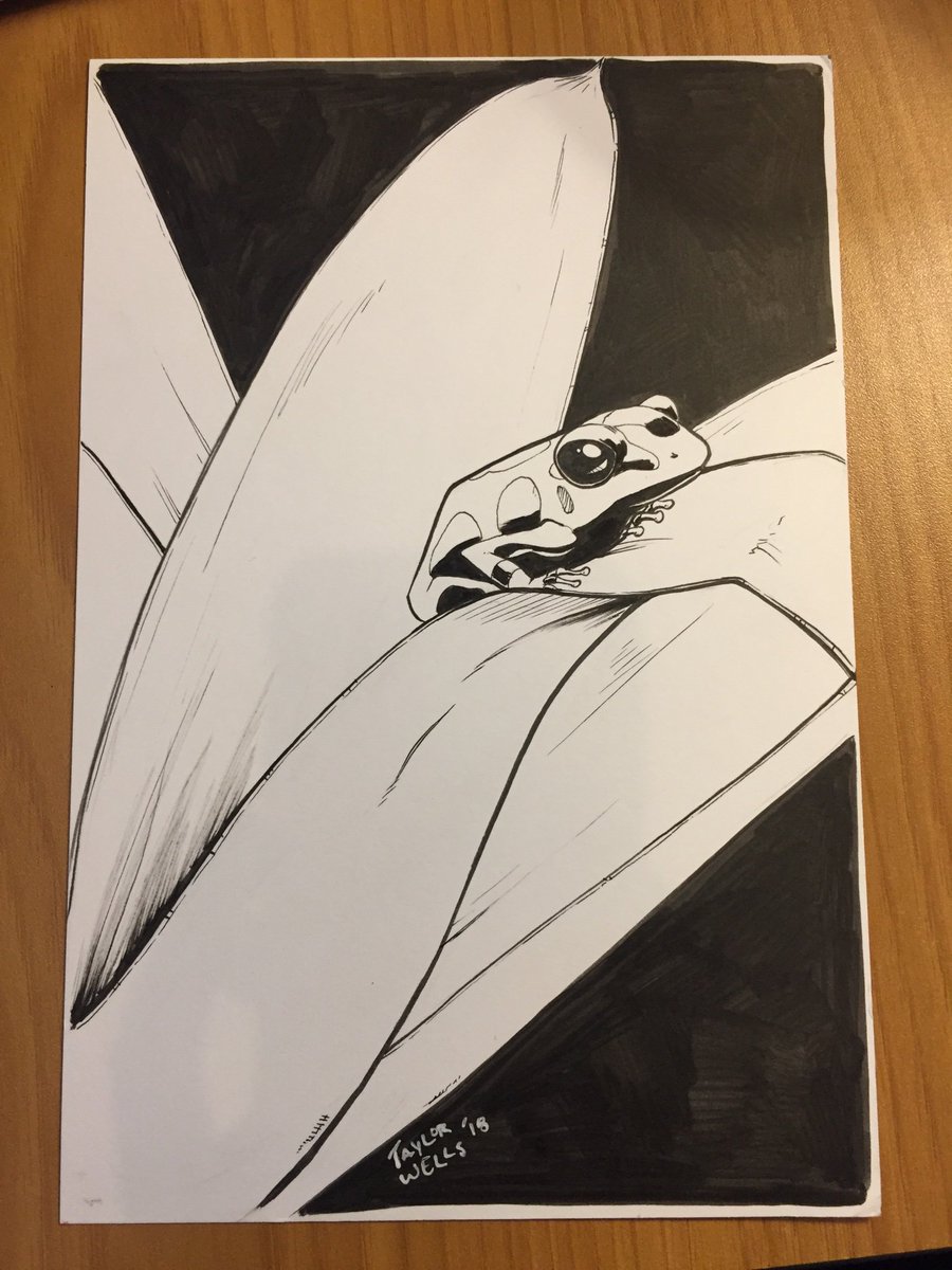 TaylorTheWeird's tweet photo. Happy #Inktober everyone! I’m going to loosely do the prompts this year. First up is “Poisonous.”

This evening I’m going to add some washes to this one.
.
.
.
#poison #poisonous #inktober2018 #frog #treefrog #poisondartfrog #dartfrog #inkdrawing #drawing #sketch #sketchaday https://t.co/hmv9HRLzom