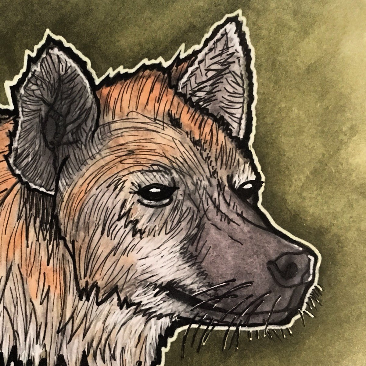 Squarespecs's tweet photo. #inktober time again #inktober2018 day 1 quick hyena sketch #ink #inking #promarker #draw #art https://t.co/CwmM8rki2H