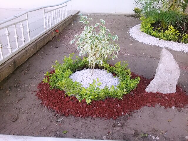 BotanasJimbal tweet picture