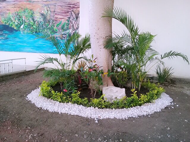 BotanasJimbal tweet picture