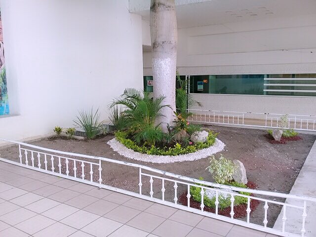 BotanasJimbal tweet picture