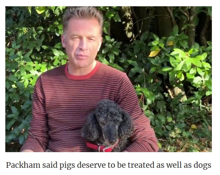 veganfuture's tweet photo. 'We don’t have any dairy in the fridge anymore' : Famed nature presenter Chris Packham is going vegan for the animals and the environment https://t.co/BAjIxrt5Ca @ChrisGPackham 👏🐤🌍🐮🙌 https://t.co/HIyi4qJ9v4