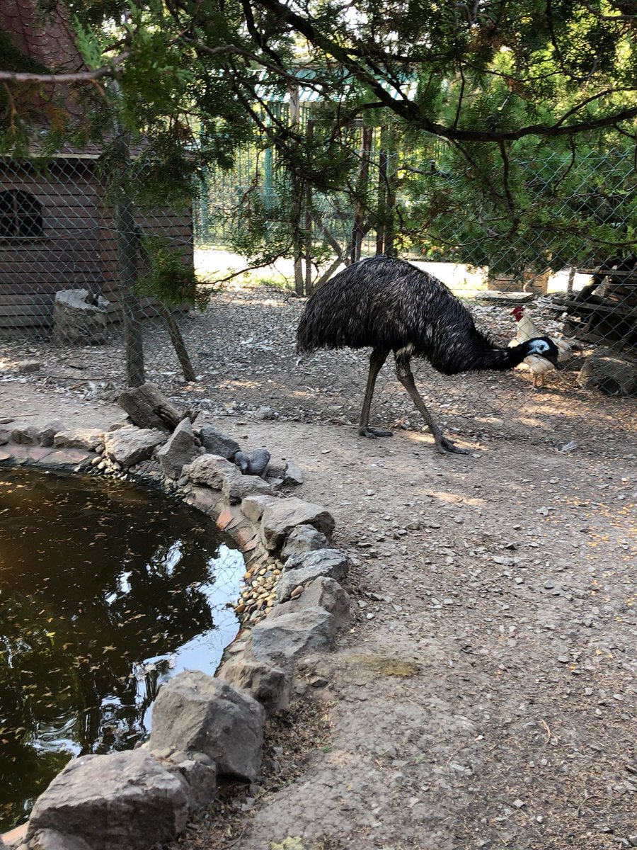 MUNDOmedia tweet media