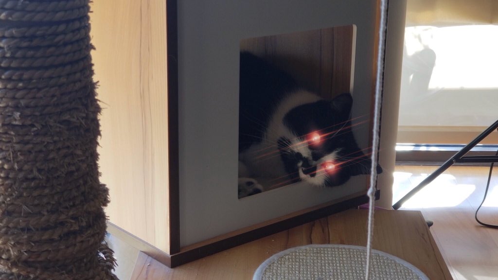 wam123459's tweet photo. @dm21gaming The #cAtlas sees all https://t.co/POyoMmMPQw