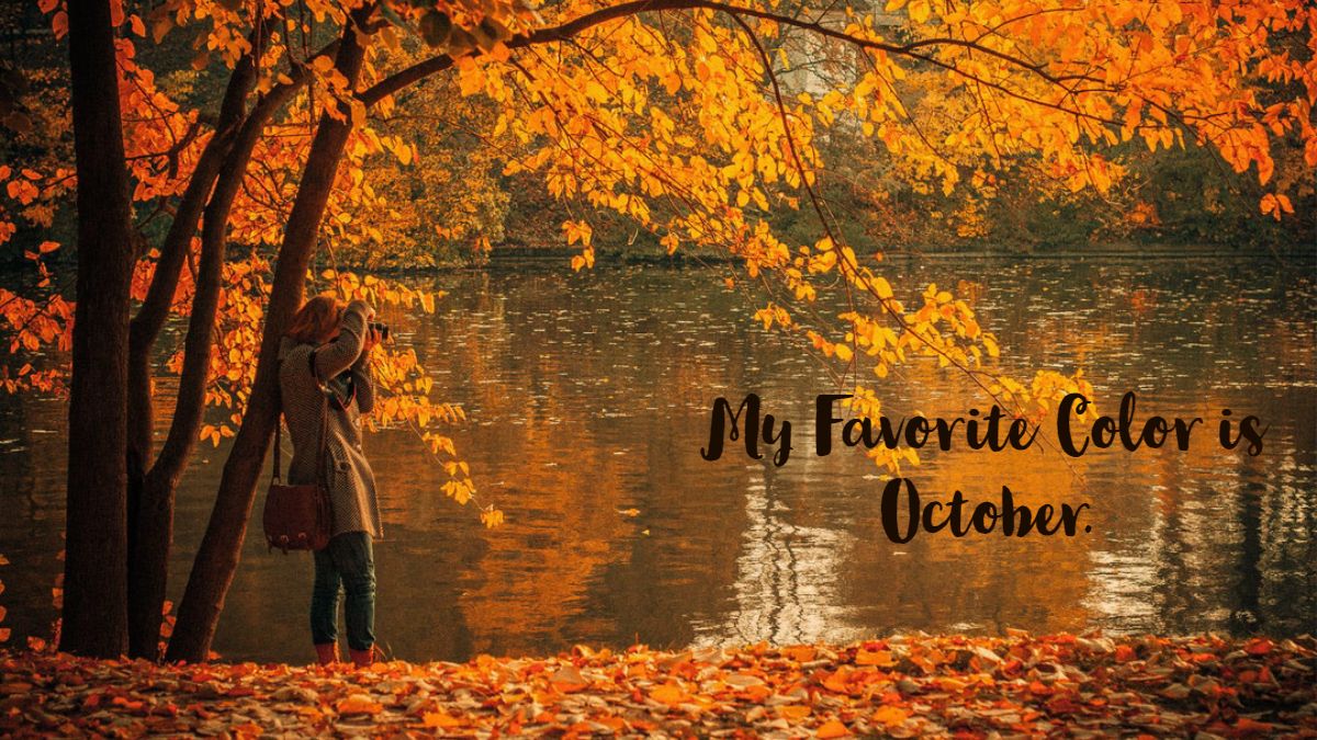 IRHoneymoons's tweet photo. Tell us what makes Fall your favorite time of year... https://t.co/r8W4paOxBC