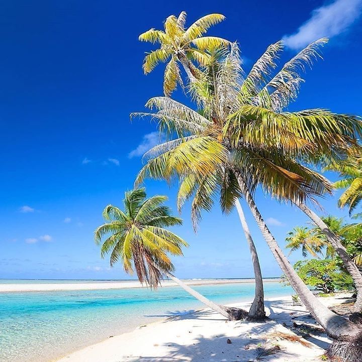 @travelphotobloggers -  Ninamu means 'blue' in Tahitian.💙💙 🌴 <a href="/ninamuresort/">NinamuResort Tikehau</a> ift.tt/21dngc4