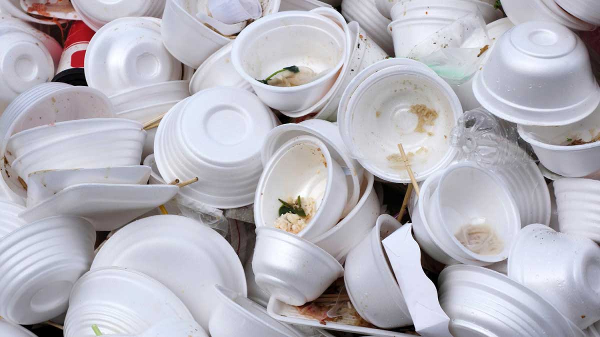 CBagatech's tweet photo. No más #unicel, utiliza #biodegradables.
El Municipio de Oaxaca, se une a la prohibición de este material debido a los daños ambientales que genera. #BienvenidoOctubre #Oaxaca https://t.co/Z64v5TWpzi