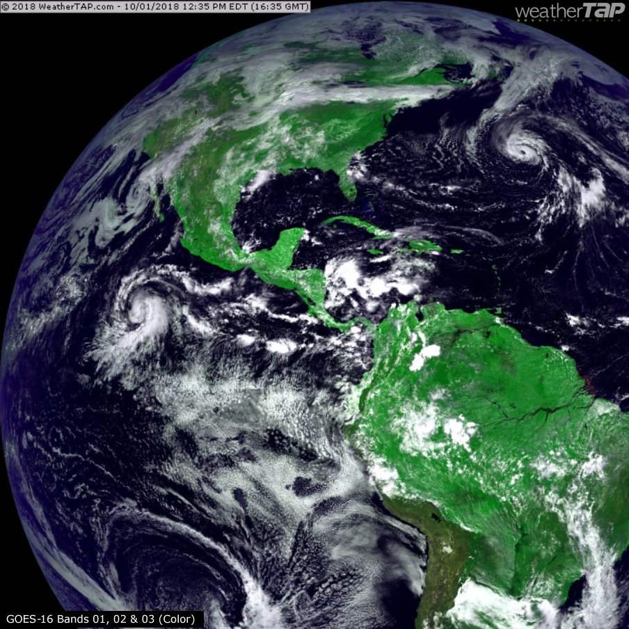weatherTAP tweet picture