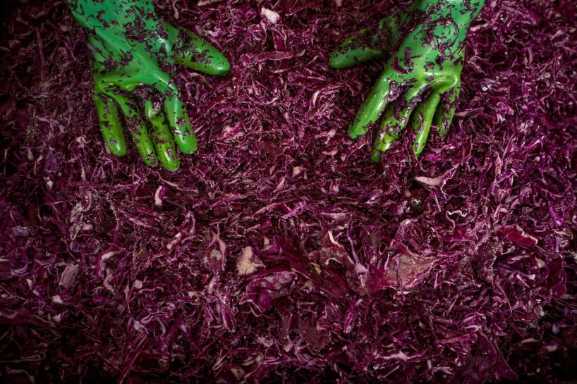 ‘Real Pickles’ partners with food scientists to map microbe magic bit.ly/2Nfuw5J #UMassNaturallyCurious #UMassFoodScience