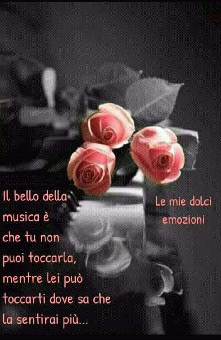 Annalisa Lisi🌷 tweet media