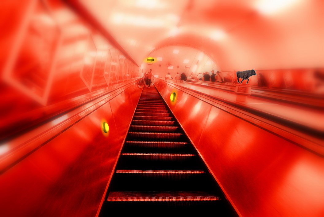 SusanSweeny's tweet photo. Escalating to freeze the moment. Time is temporary - S.S #photographyArt by @SusanSweeny @suborg #suborg #londonunderground #Waterloo #london https://t.co/YAXlFdVzKl