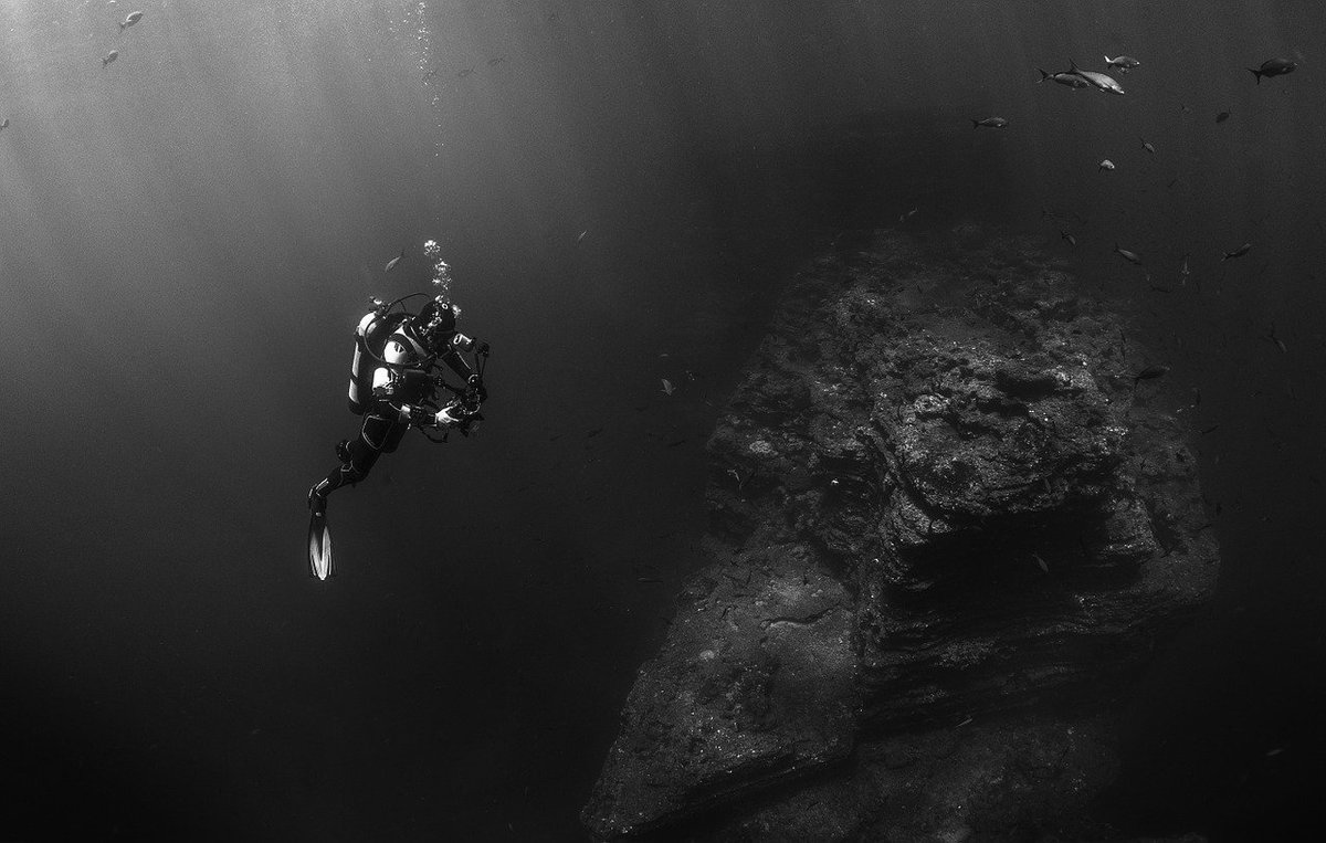 LalizeRoatan's tweet photo. Have you ever wondered if scuba diving is beneficial for your health? Take a read and start planning your #RoatanVacation. 
#RoatanDiving #WestBayBeach #RoatanVillas #RoatanHomeRentals
https://t.co/zhp0wtfyx9 https://t.co/OQPFRS1PR4