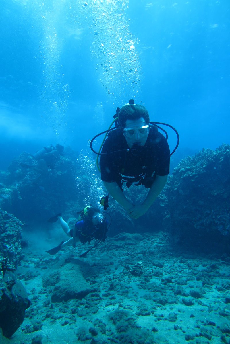 scubamaui's tweet photo. Scuba diving is the perfect touch to any Hawaiian trip! Book your tour today at https://t.co/NVjb0Tlkpb #mauiscubamike #subadiving #hawaii #maui #mauitour https://t.co/0Crqo5g3tg
