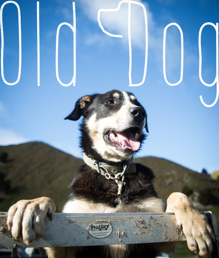 BidSlate® tweet media