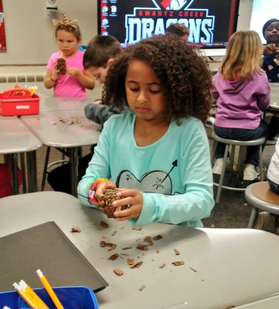 thequeen526's tweet photo. We are squirrels looking for seeds.  @swartz_creek @SyringDragons @KaczorsThinkers https://t.co/nYQtBxRrUw