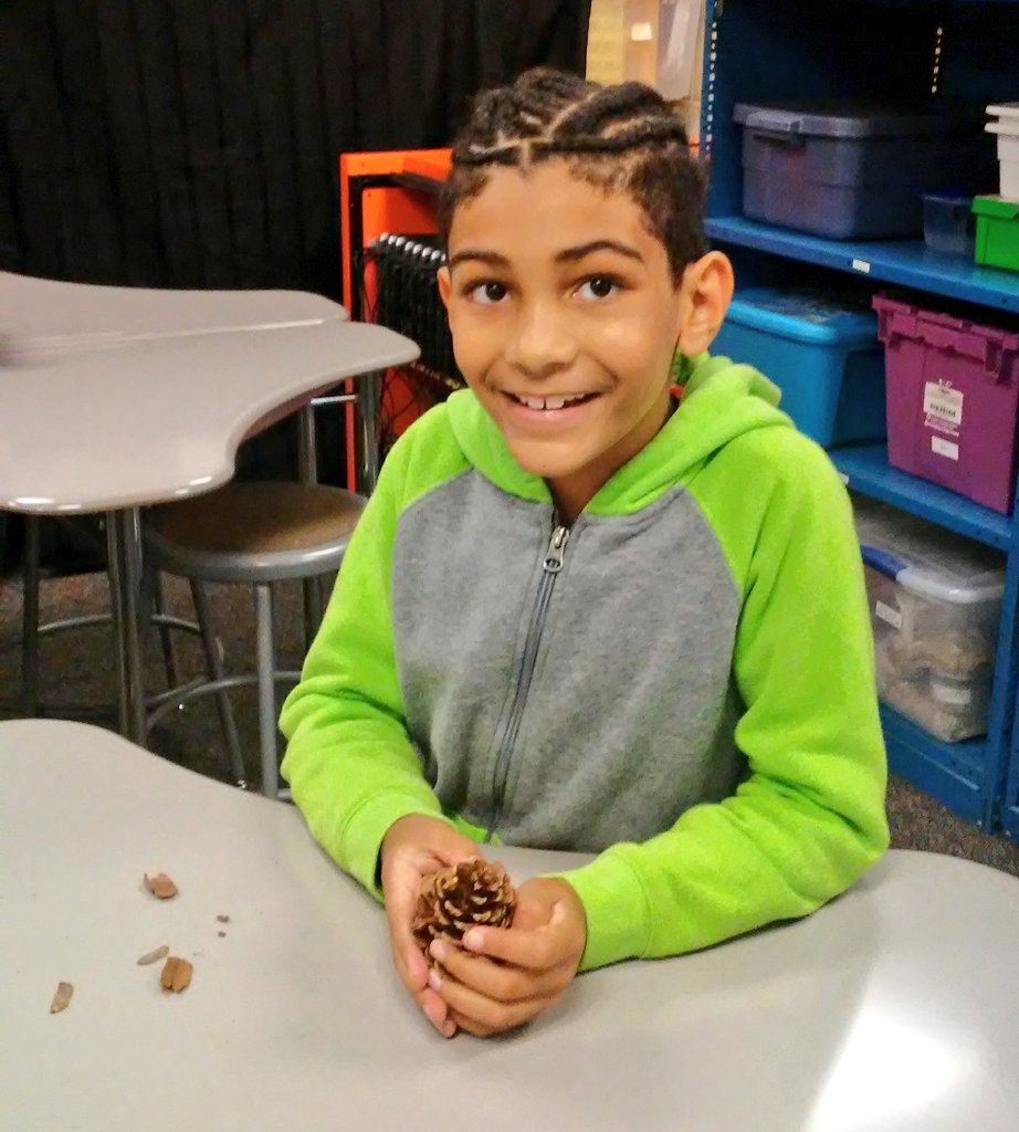 thequeen526's tweet photo. We are squirrels looking for seeds.  @swartz_creek @SyringDragons @KaczorsThinkers https://t.co/nYQtBxRrUw