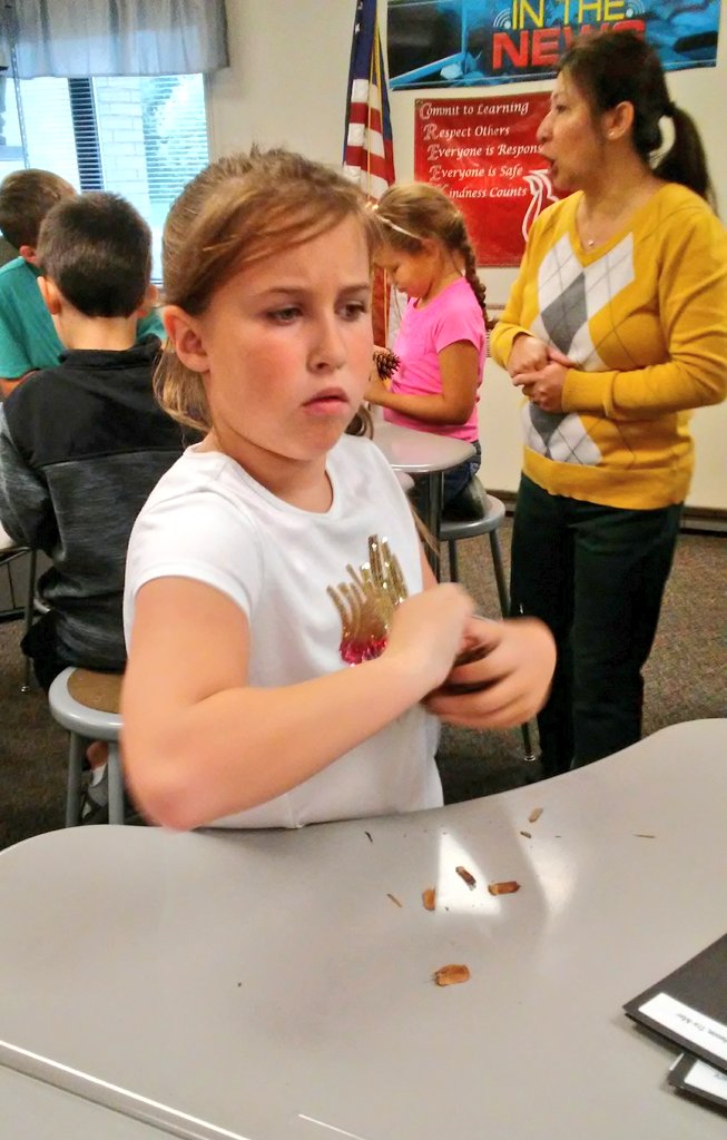 thequeen526's tweet photo. We are squirrels looking for seeds.  @swartz_creek @SyringDragons @KaczorsThinkers https://t.co/nYQtBxRrUw