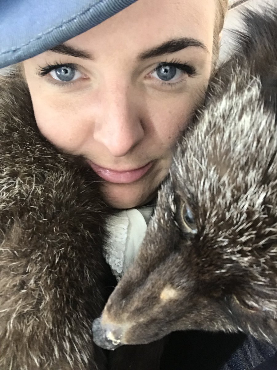 ....Lady Somersby ft Florence the Fox will be keeping you Wipers followers up to date this week from the sea front in Eastbourne. Also keeping a close eye on the sobriety of the company...a very close eye.