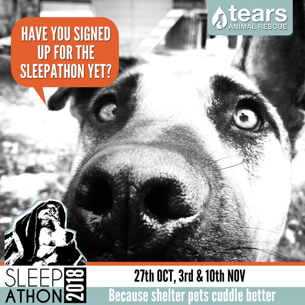 TEARSwelfare's tweet photo. @TEARSwelfare needs your help! We depend on our annual #Sleepathon and the funds that our amazing and dedicated Snoozers raise. Not only is it a great opportunity to help TEARS but an opportunity to spend the night with our beautiful rescue pets! https://t.co/6Q6BCPps4g https://t.co/xWIAhDq1a0