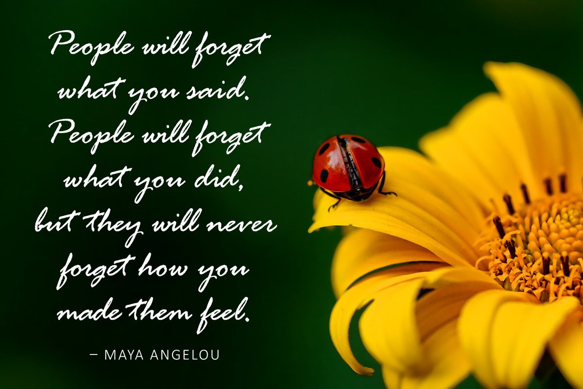 VIE Ability tweet media