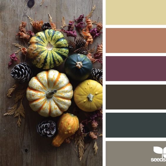 DFWLinens's tweet image. Here is your color scheme, how would you decoration?