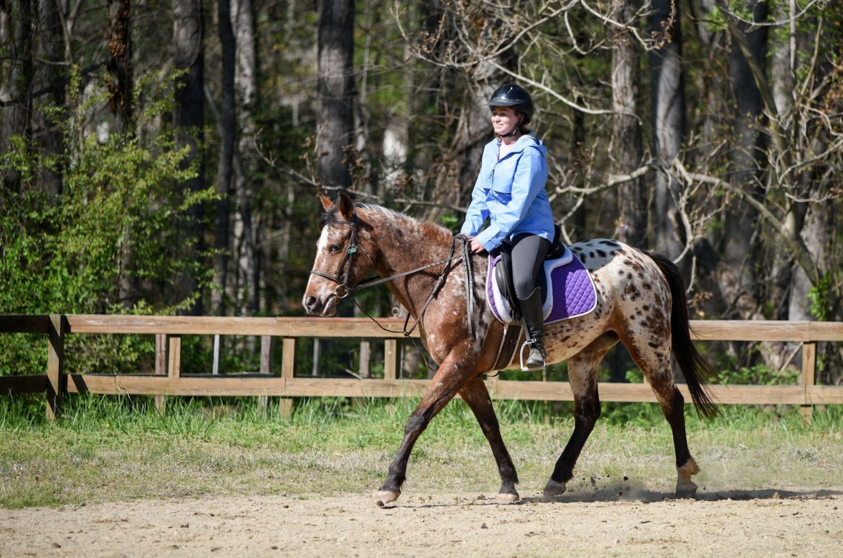 AshevilleSchool's tweet photo. Sophomore Lacy Westle recently placed 3rd in the Scotsgrove Fall Hunter Pace and Trail Ride! 🐎 Go Blues! Read more: https://t.co/X49woMxVBc #Equestrian #HunterPace #AshevilleSchool #BoardingSchool https://t.co/dTEFKXF6w0