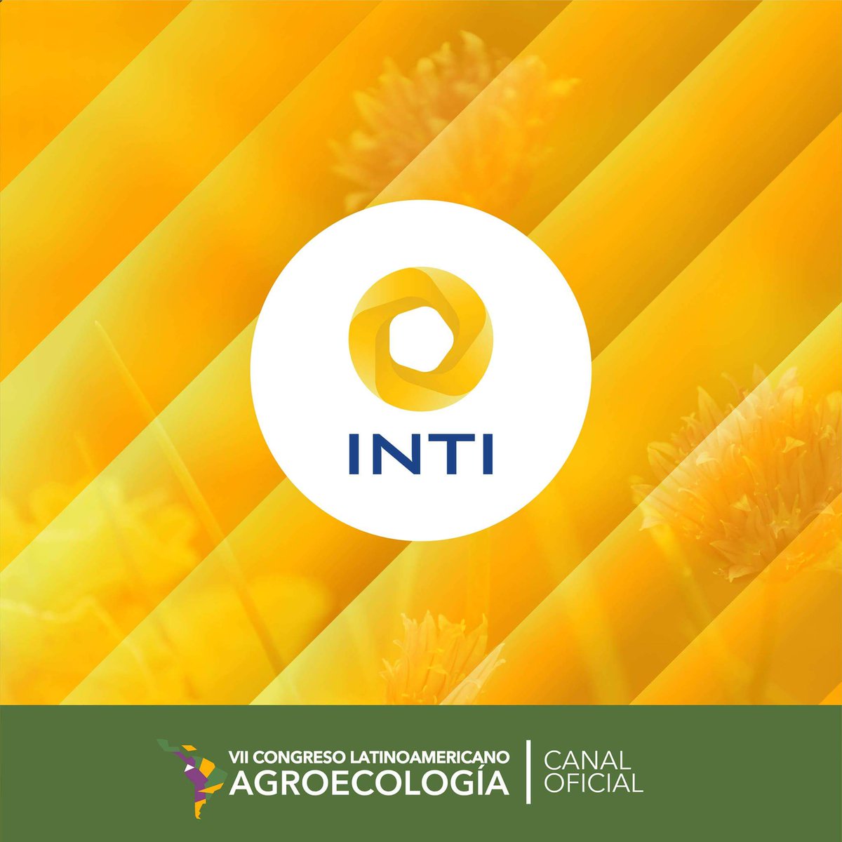 VII Congreso Latinoamericano de #Agroecologia2018 tweet media