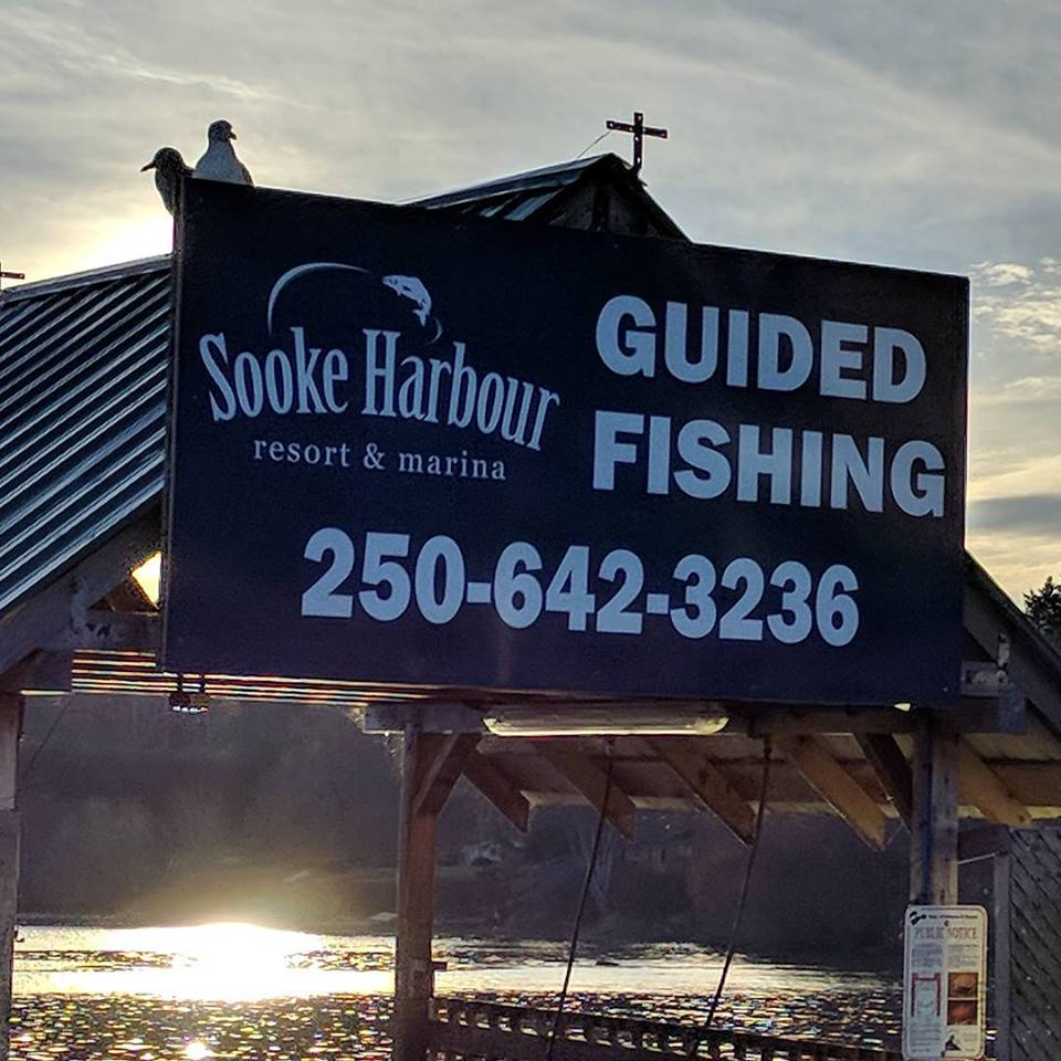 SookeHarbour's tweet image. Summer might be over, but the fishing in Sooke is awesome all year long! Exciting fishing charters and harbour tours are on offer 12-months a year from right here at our marina. Learn more: ow.ly/5Cp330lWYo0 #FishSooke #FishBC