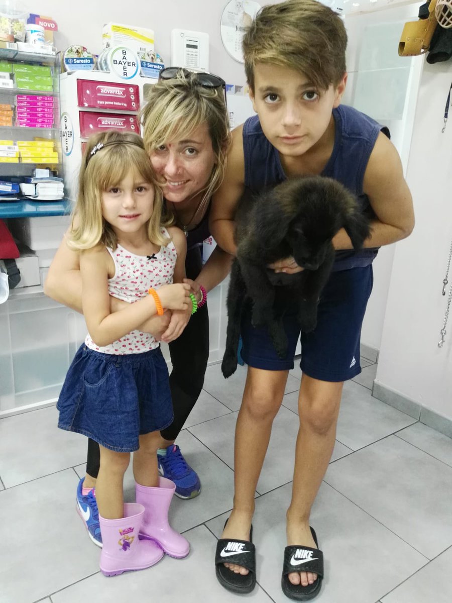 DogsRescueC's tweet photo. CLYDE, ahora MAX, feliz y responsablemente ADOPTADO, por ALEJANDRA y su familia maravillosa, de MUTXAMIEL (Alicante)
Que le van a obsequiar del amor,cariño y respeto a este nuevo miembro de la Famlia
Mil gracias, suerte pequeño😘
#Alicante #Mutxamiel #Elche #Valencia #Orihuela https://t.co/Rp9JZkQ1Gt