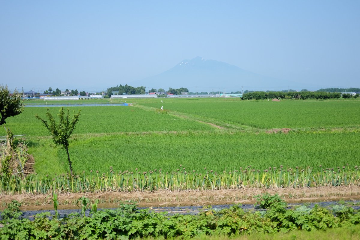 Iwaki-san in background on Konan line to Kuroishi from Hirosaki