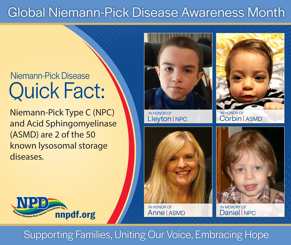 Niemann Pick disease 