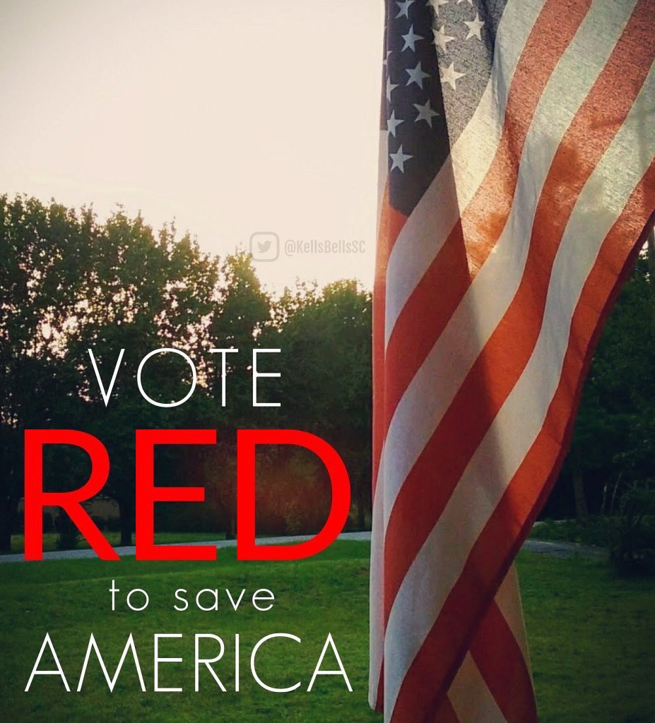 Saphina77's tweet photo. @kelly_ramona My President @realDonaldTrump IS WINNING AGAIN!! FAIR NAFTA DEAL. I LOVE OUR @POTUS Judge Kavanaugh WILL be Confirmed! #RedStormComing #KAG #VoteRedLikeYourLikeDependsOnIt https://t.co/JtAGnGtew8