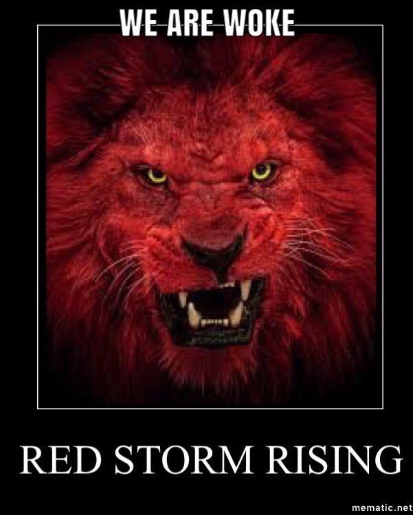 Saphina77's tweet photo. @kelly_ramona My President @realDonaldTrump IS WINNING AGAIN!! FAIR NAFTA DEAL. I LOVE OUR @POTUS Judge Kavanaugh WILL be Confirmed! #RedStormComing #KAG #VoteRedLikeYourLikeDependsOnIt https://t.co/JtAGnGtew8